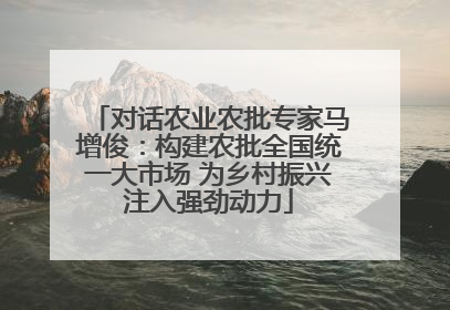 对话农业农批专家马增俊：构建农批全国统一大市场 为乡村振兴注入强劲动力