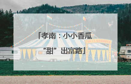 孝南：小小香瓜 “甜”出富路