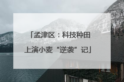 孟津区：科技种田 上演小麦“逆袭”记