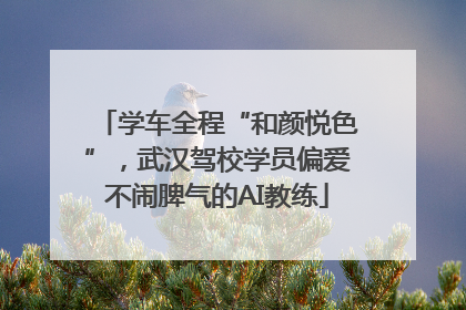 学车全程“和颜悦色”，武汉驾校学员偏爱不闹脾气的AI教练