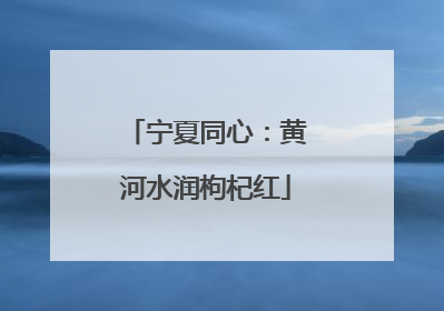 宁夏同心：黄河水润枸杞红