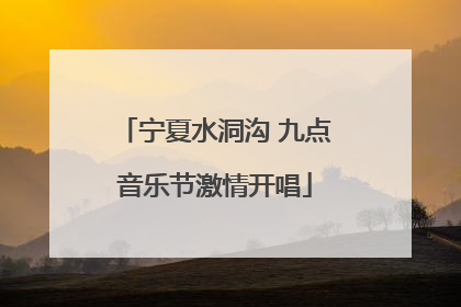 宁夏水洞沟 九点音乐节激情开唱