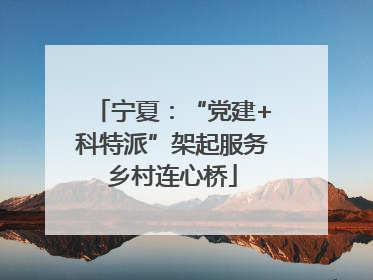 宁夏：“党建+科特派”架起服务乡村连心桥