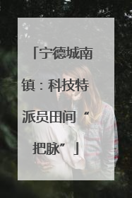宁德城南镇：科技特派员田间“把脉”