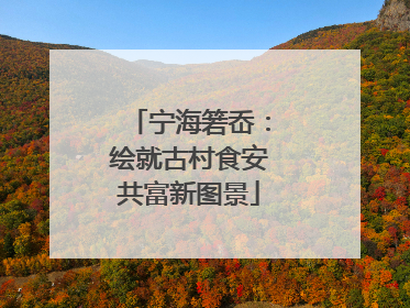 宁海箬岙：绘就古村食安共富新图景