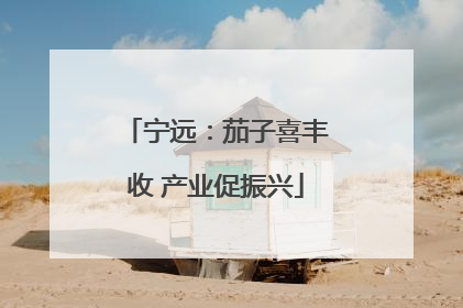 宁远：茄子喜丰收 产业促振兴