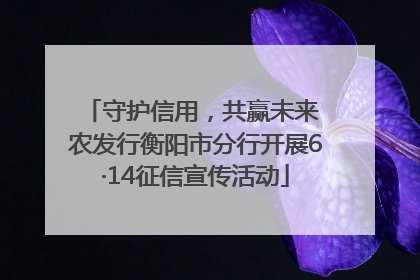 守护信用，共赢未来 农发行衡阳市分行开展6·14征信宣传活动