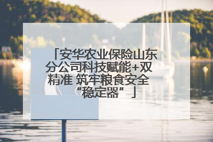 安华农业保险山东分公司科技赋能+双精准 筑牢粮食安全“稳定器”