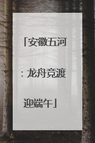 安徽五河：龙舟竞渡迎端午