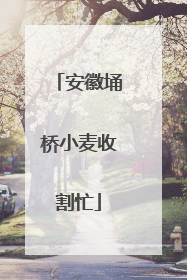 安徽埇桥小麦收割忙
