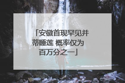 安徽首现罕见并蒂睡莲 概率仅为百万分之一