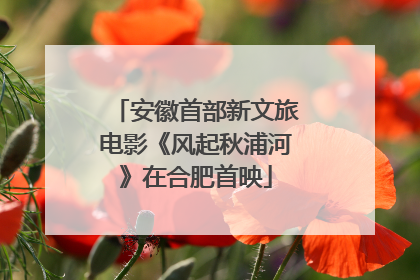 安徽首部新文旅电影《风起秋浦河》在合肥首映