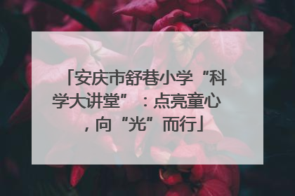 安庆市舒巷小学“科学大讲堂”：点亮童心，向“光”而行