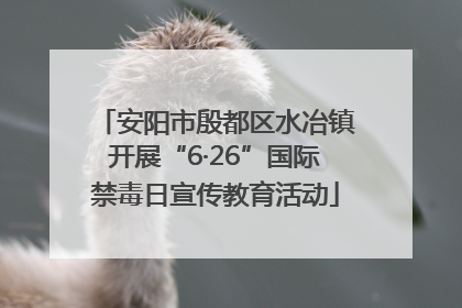 安阳市殷都区水冶镇开展“6·26”国际禁毒日宣传教育活动
