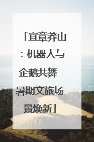 宜章莽山：机器人与企鹅共舞 暑期文旅场景焕新