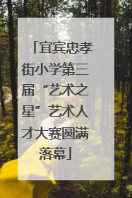 宜宾忠孝街小学第三届“艺术之星”艺术人才大赛圆满落幕