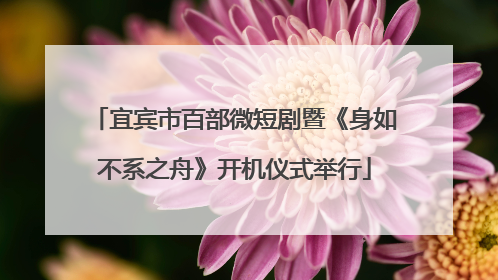 宜宾市百部微短剧暨《身如不系之舟》开机仪式举行