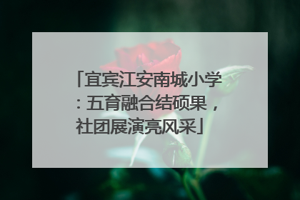 宜宾江安南城小学：五育融合结硕果，社团展演亮风采