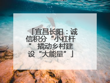 宜昌长阳：诚信积分“小杠杆” 撬动乡村建设“大能量”