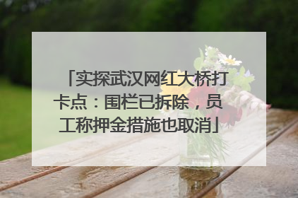 实探武汉网红大桥打卡点：围栏已拆除，员工称押金措施也取消