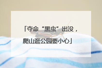 夺命“黑虫”出没，爬山逛公园要小心