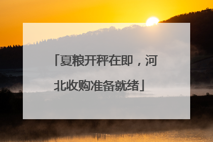 夏粮开秤在即，河北收购准备就绪