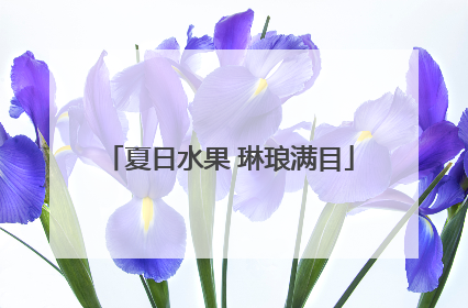 夏日水果 琳琅满目