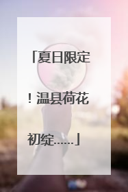 夏日限定！温县荷花初绽……