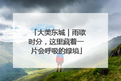 大美东城｜雨歇时分，这里藏着一片会呼吸的绿境