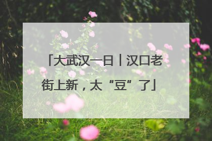 大武汉一日︱汉口老街上新，太“豆”了
