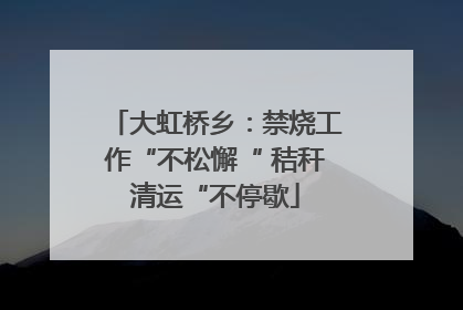 大虹桥乡：禁烧工作“不松懈“ 秸秆清运“不停歇