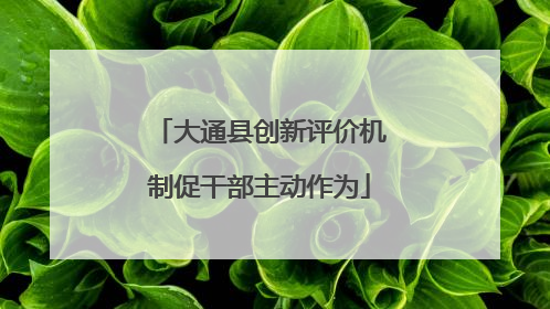 大通县创新评价机制促干部主动作为