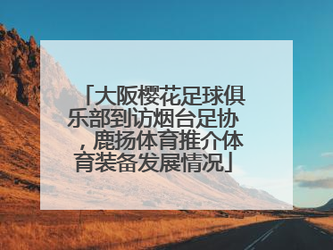 大阪樱花足球俱乐部到访烟台足协，鹿扬体育推介体育装备发展情况