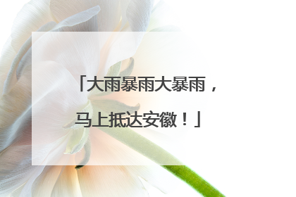 大雨暴雨大暴雨，马上抵达安徽！
