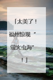 太美了！福州惊现“萤火虫海”！