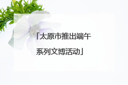 太原市推出端午系列文博活动