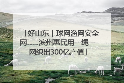 好山东｜球网渔网安全网……滨州惠民用一绳一网织出300亿产值