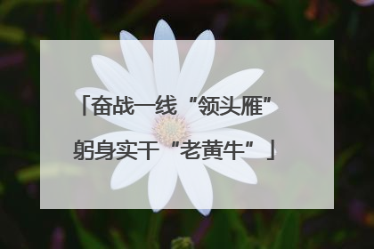 奋战一线“领头雁” 躬身实干“老黄牛”