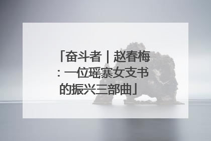 奋斗者｜赵春梅：一位瑶寨女支书的振兴三部曲