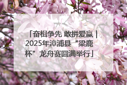 奋楫争先 敢拼爱赢｜2025年漳浦县“梁鹿杯”龙舟赛圆满举行
