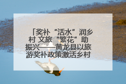 奖补“活水”润乡村 文旅“繁花”助振兴——黄龙县以旅游奖补政策激活乡村振兴新动能
