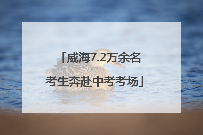 威海7.2万余名考生奔赴中考考场