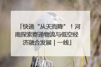 快递“从天而降”！河南探索寄递物流与低空经济融合发展｜一线