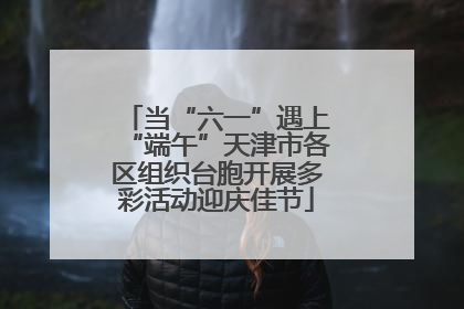 当“六一”遇上“端午”天津市各区组织台胞开展多彩活动迎庆佳节