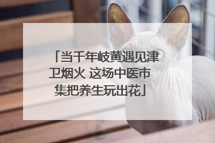 当千年岐黄遇见津卫烟火 这场中医市集把养生玩出花