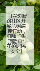 彭刘杨路社区开展危树清理行动，消除“头顶隐患”守护居民安全