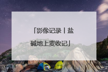 影像记录丨盐碱地上麦收记