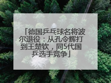 德国乒乓球名将波尔退役：从孔令辉打到王楚钦，同5代国乒选手竞争