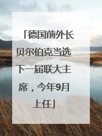 德国前外长贝尔伯克当选下一届联大主席，今年9月上任