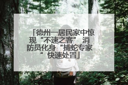 德州一居民家中惊现“不速之客” 消防员化身“捕蛇专家”快速处置